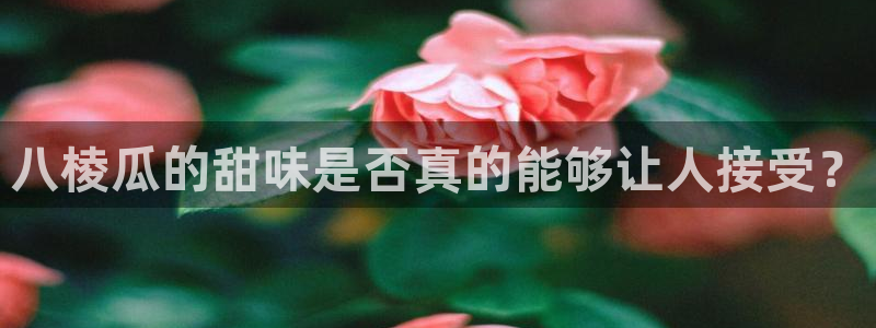 www.黑料：八棱瓜的甜味是否真的能够让人接受？