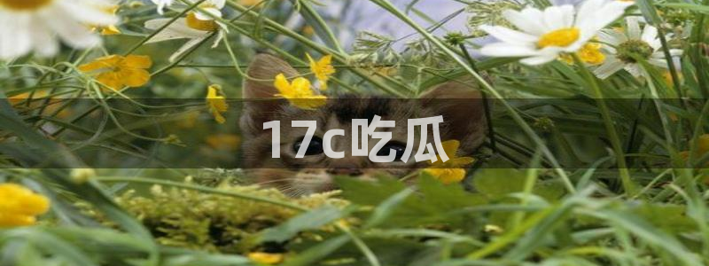 板栗瓜怎样做最好吃：17c吃瓜