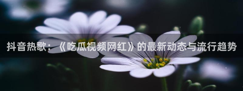ccggme吃瓜网：抖音热歌：《吃瓜视频网红》的最新动态与流行趋势
