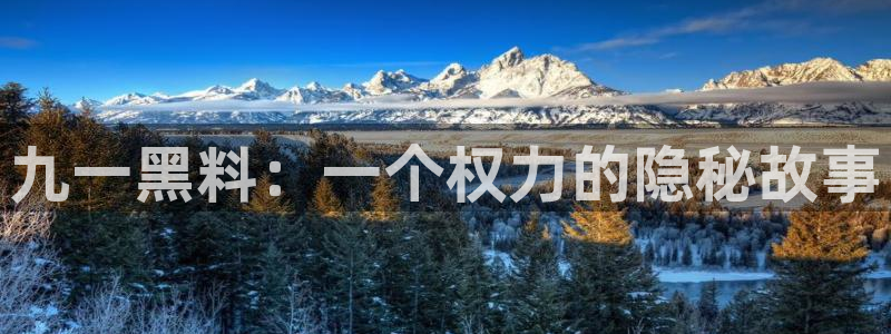 718.sⅹ 吃瓜：九一黑料：一个权力的隐秘故事