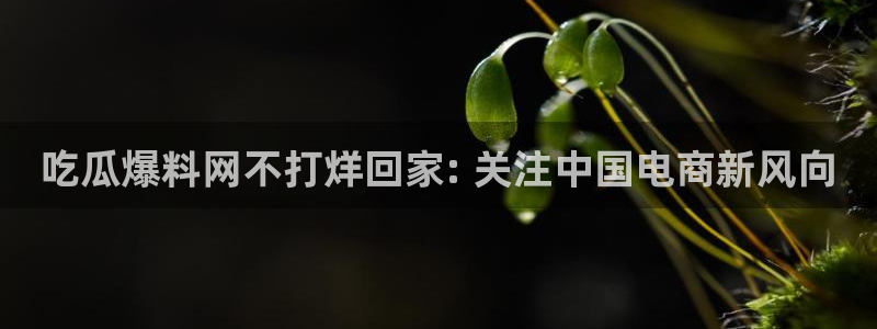 高血糖可以吃贝贝瓜吗：吃瓜爆料网不打烊回家: 关注中国电商新风向