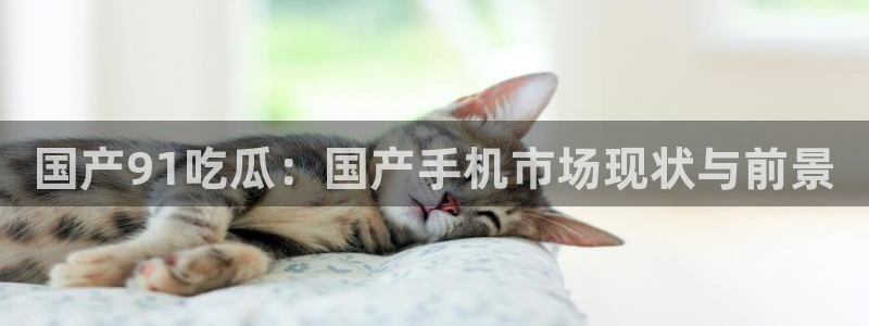 51吃瓜网张津瑜：国产91吃瓜：国产手机市场现状与前景