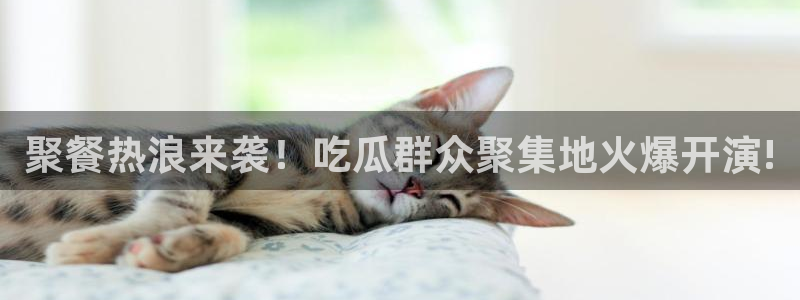 51吃瓜网热门大瓜：聚餐热浪来袭！吃瓜群众聚集地火爆开演!