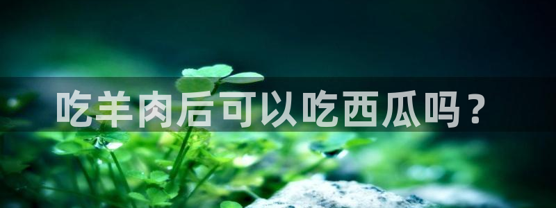 贝贝瓜可以炒着吃吗:吃羊肉后可以吃西瓜吗?