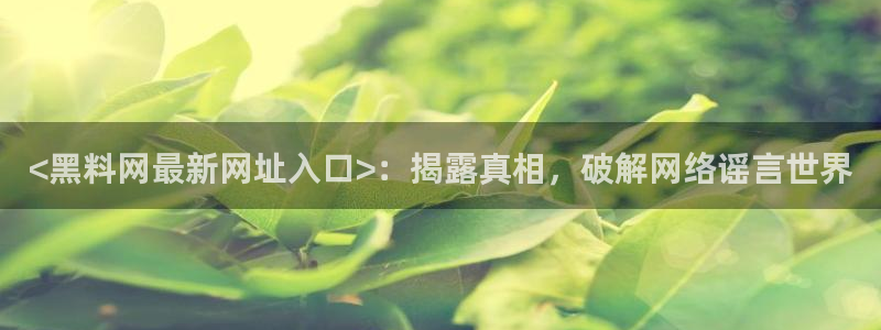 黑料爆料：<黑料网最新网址入口>：揭露真相，破解网络谣言世界