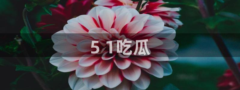 nanataipei51吃瓜：5 1吃瓜