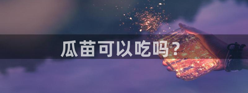 吃瓜吃瓜