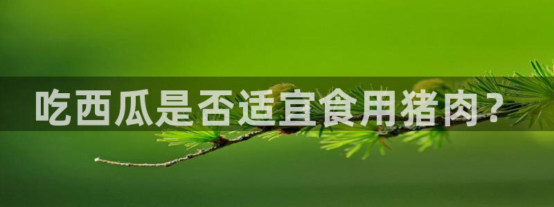 吃瓜下载：吃西瓜是否适宜食用猪肉？