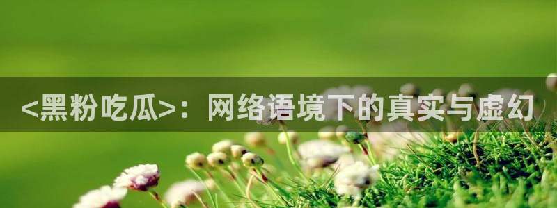 吃瓜事件：<黑粉吃瓜>：网络语境下的真实与虚幻