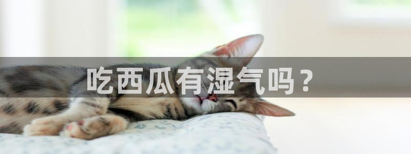 nanataipei51吃瓜：吃西瓜有湿气吗？