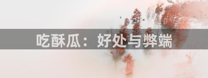 高血糖可以吃籽瓜吗：吃酥瓜：好处与弊端