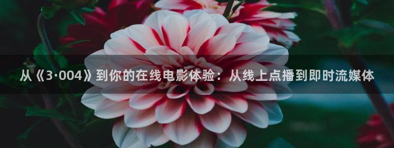 51吃瓜nanataipei：从《3·004》到你的在线电影体验：从线上点播到即时流媒体