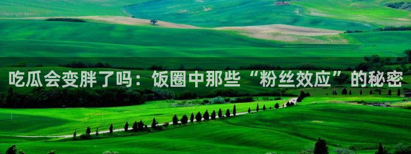 吃瓜网 今日吃瓜 热门大瓜：吃瓜会变胖了吗：饭圈中那些“粉丝效应”的秘密